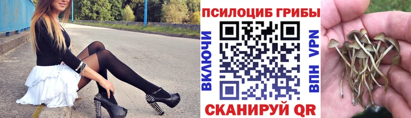 Галлюциногенные грибы MAGIC MUSHROOMS Новое Девяткино